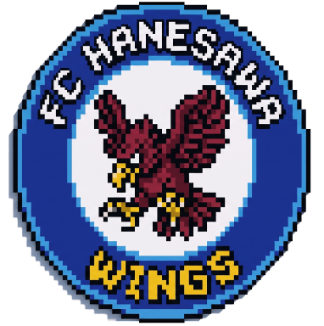 FC HANESAWA WINGS